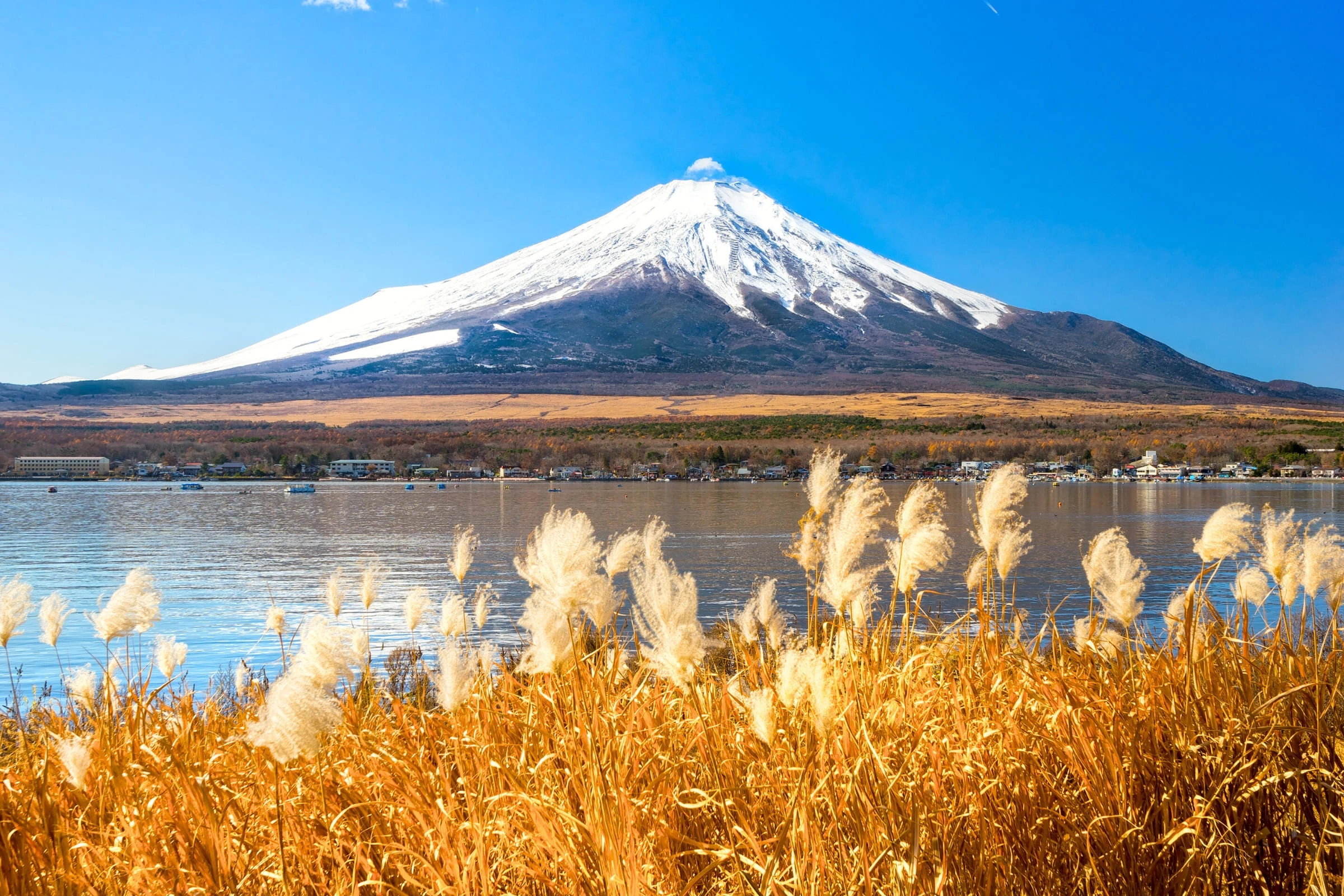 Springtime Japan Cruise & Tokyo Stay – Cherry Blossom Discovery Voyage